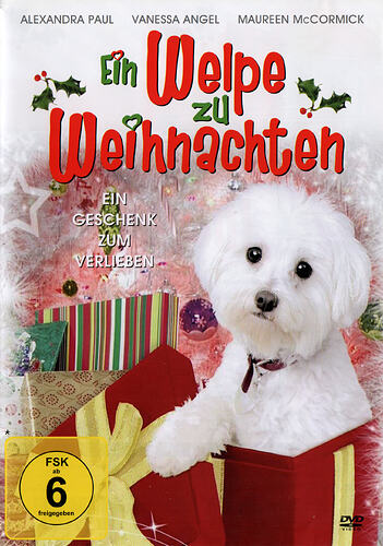 ChristmasSpiritFront