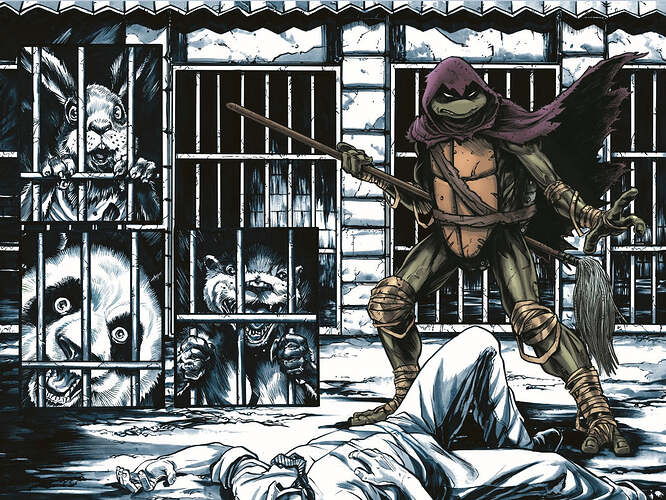 TMNT4_Splash