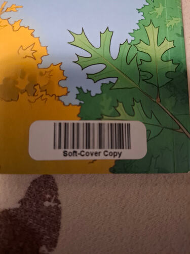 1767201763101692273801490298212