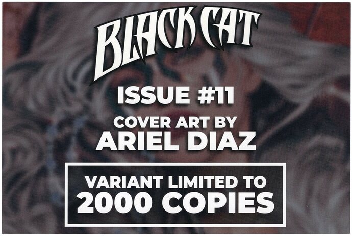 Black Cat Vol 3 11N_0003