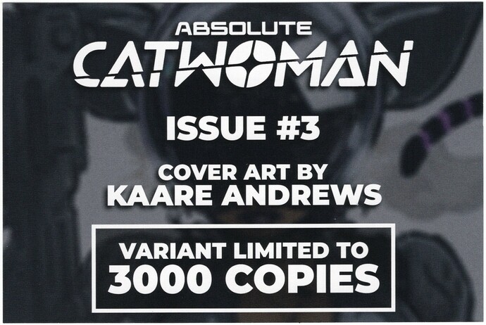 Absolute Catwoman 3I_0003