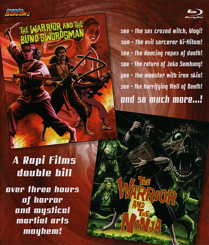 WarriorBlindSwordsmanNinjaFront