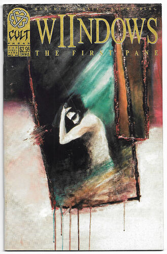 WIIndows The First Pane