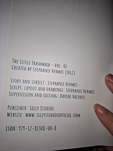 17673408570911899753155985718743