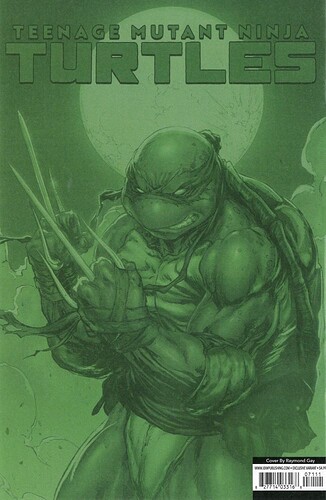 TMNT 1 B